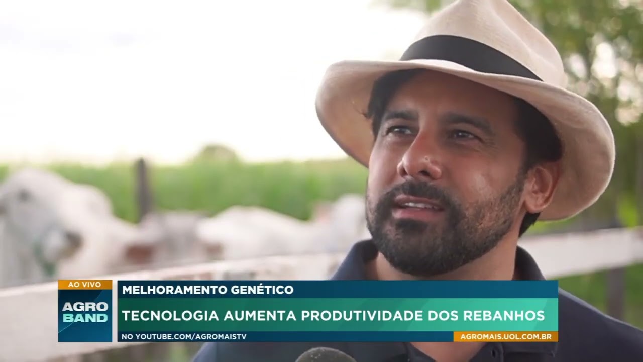 Tecnologia e genética ajudam a formar gado mais produtivo e adaptado em Roraima