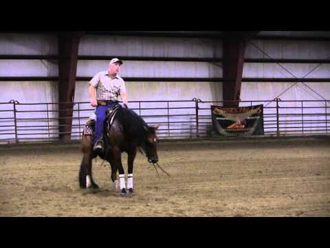 Friday Night Sailing