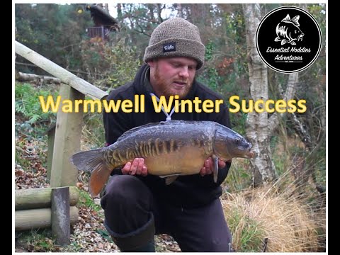 Short Session Success at Warmwell, Heron Lake | Winter Carp Fishing 2021| ENA BLOGS #025