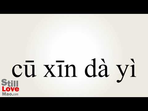 How to Say Inadvertence in Chinese Video