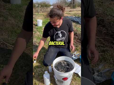 Compost's "Gangster Bacteria": Microbe Power!