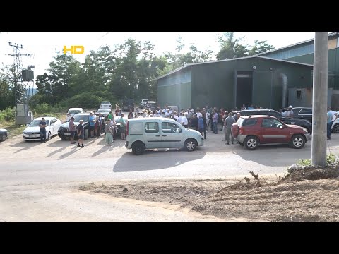 BL HRONIKA 06 07 21 - VODA PISKAVICA