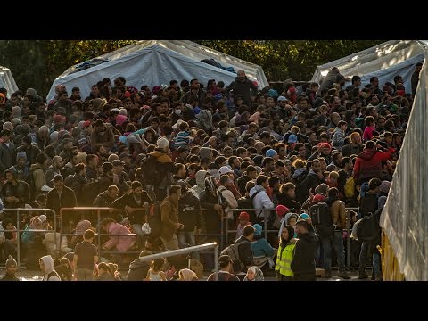 Massenzuwanderung ist verfassungswidrig - FPÖ-TV-Magazin 14.01.2016