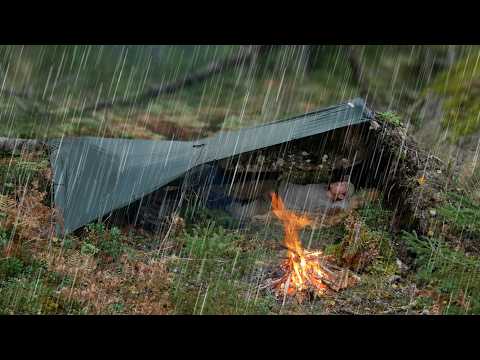 Heavy Rain Camping - Taking Shelter Under a Fallen Tree For Survival