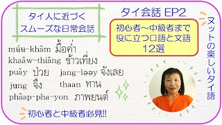 タイ語の会話 EP2 初級者~中級者まで役に立つタイ語の口語と文語:「jang-leey」「nang」「phaap-pha-yon」「puay」「khao-chao朝食」「muu-kham 晩食」など タイ語の会話 EP2 初級者~中級者まで役に立つタイ語の口語と文語:「jang-leey」「nang」「phaap-pha-yon」「puay」「khao-chao朝食」「muu-kham 晩食」など