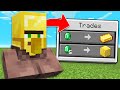 Minecraft But There S Custom Villagers