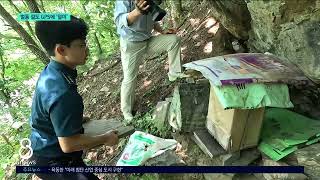 [G1뉴스]야심한 시간 벌통 절도..GPS에 '덜미'