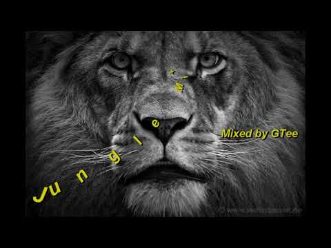 Old Skool Jungle Mix "Lion Tear Out Amen Mix" 1993, 1994 & 1995