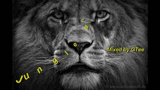 Old Skool Jungle Mix &quot;Lion Tear Out Amen Mix&quot; 1993, 1994 &amp; 1995