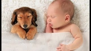 Rock-a-Bye Baby! - Pretty Song For Baby Sleep ♥♥ Jolie Chanson Pour Endormir Bébé ♥♥ Nursery Rhyme