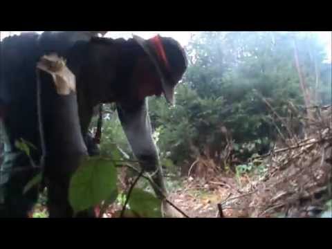 SURVIVAL BUSHCRAFT BAUMWOLLZELT / TARP / SHELTER /BAUMWOLLPLANE VON DER FIRMA KAUFUNG