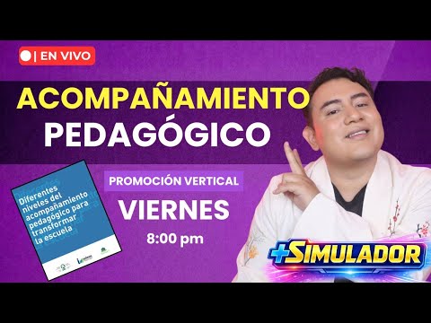 🔥PROMOCIÓN VERTICAL | DIFERENTES NIVELES DE ACOMPAÑAMIENTO PEDAGÓGICO PARA TRANSFORMAR LA ESCUELA