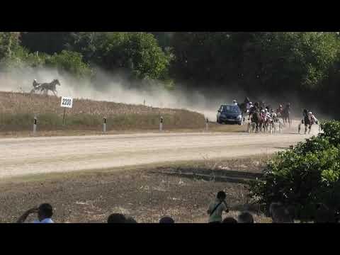 Trka "Dinamit" 19.09.2021 I Am Best - Gojko Galić