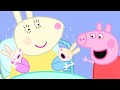 Peppa Pig English Episodes | Robbie and Rosie Rabbit!  Peppa Pig Official