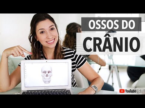 Skull Bones: Skeletal System 3/5 | Anatomy etc