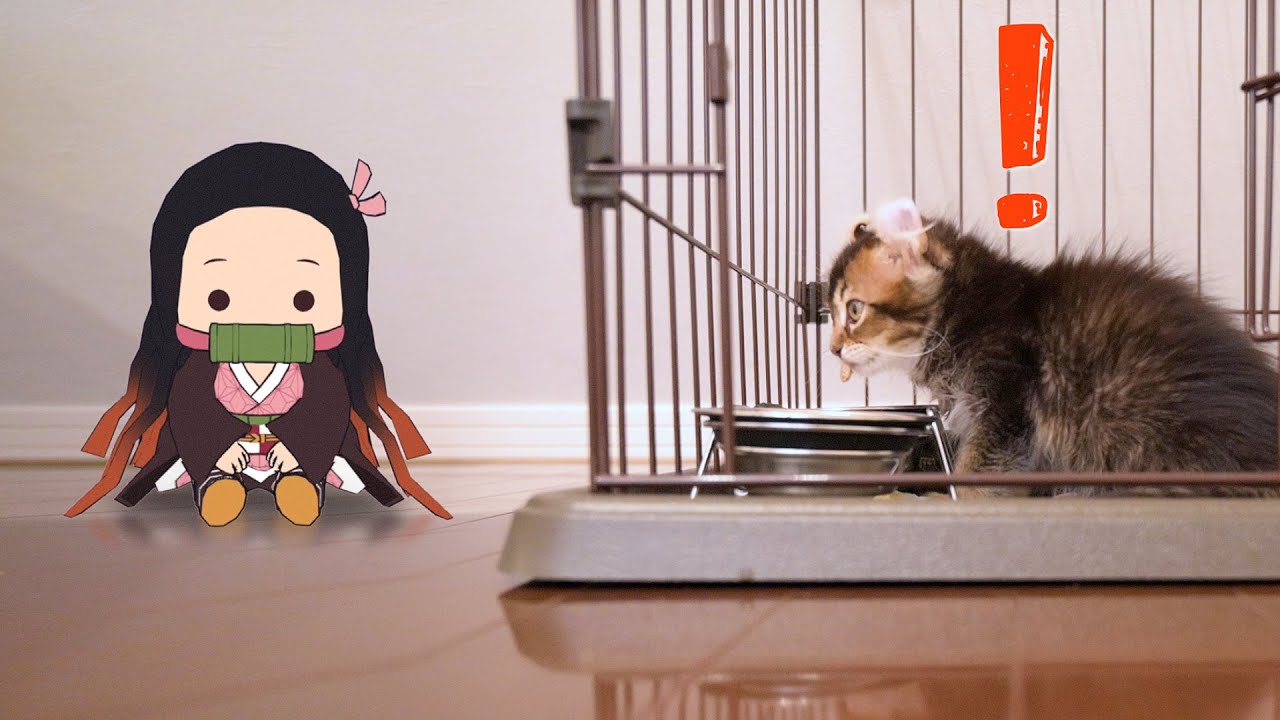 かわいい座敷わらし・ねずこ【鬼滅の刃】