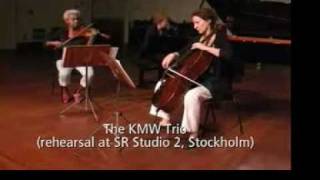 The KMW Trio: Ylva Skog, Piano Trio