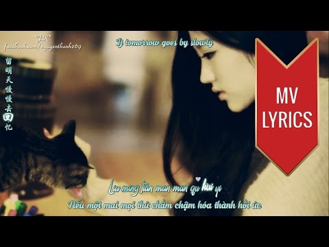 Wo Ai De Shi Ni (我爱的是你\You Are My Love) | Luo Lin (罗琳) | Lyrics [Kara + Engsub + Vietsub + Pinyin]