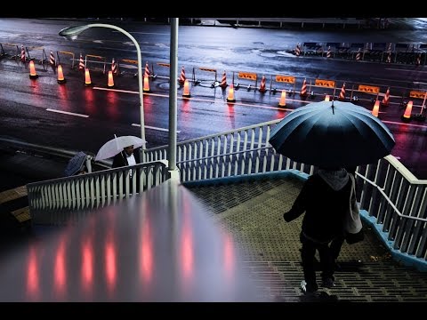 Metropolight: a photobook.