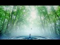 Anathema - Sentient