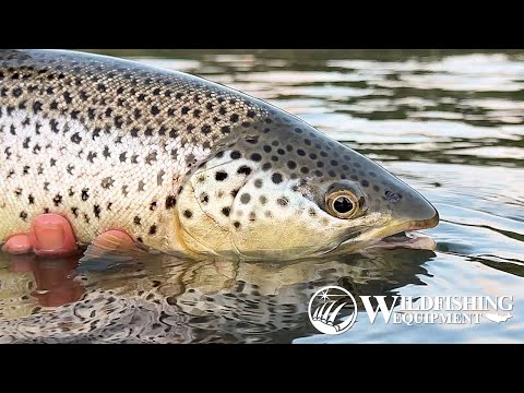 Fly Fishing Big Rivers with Mini Tube Flies