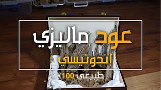 عود ماليزي اندونيسي | عود فاخر جدا