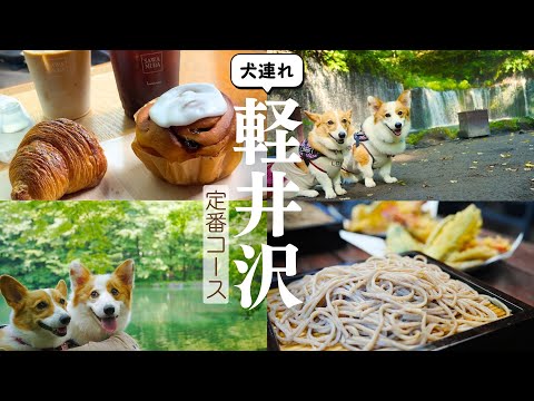 YouTube動画を再生