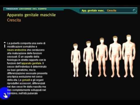 Infatti, che la pompa a vuoto aumenta membro Come per eccitare una ragazza al telefono