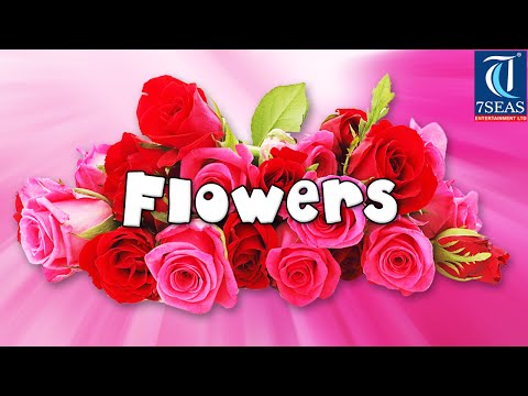 Learn names of flowers - flower names in animation video - learning for kids