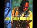 joe louis walker- it's a shame.wmv