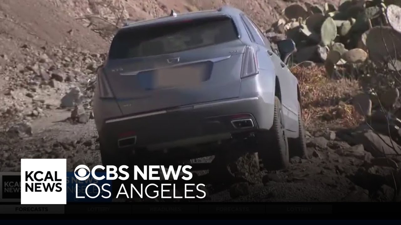 Malibu woman desperately searching for firefighter who saved her life as she fled Palisades Fire