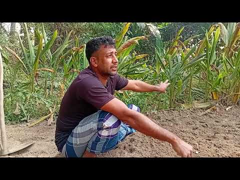 মোবাইলে জুয়ার বিপক্ষে কথা বললেন কৃষক