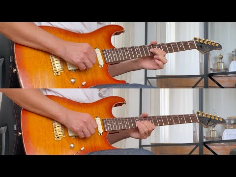 I Dug Up A Diamond - Mark Knopfler & Richard Bennett - Guitar Solo (Live 2006)