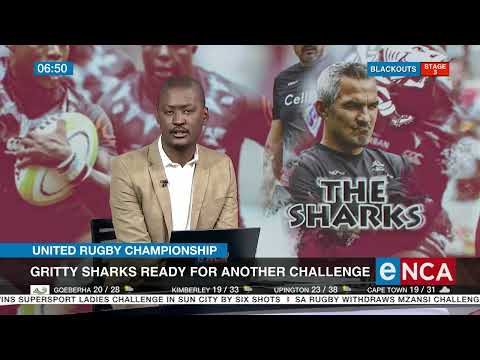 Gritty Sharks ready for another challenge