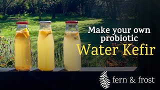 Make your own probiotic Water Kefir