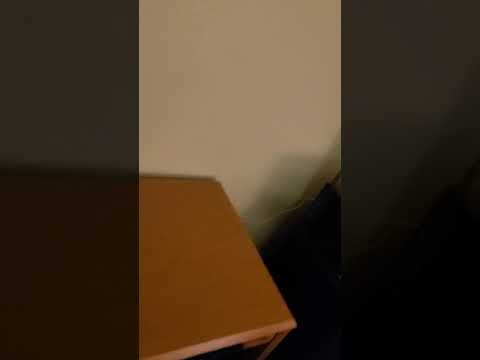 this is the quality inn in Valdosta Georgia