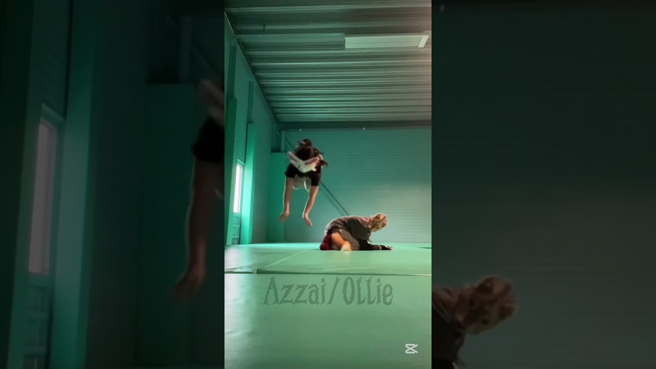 𝒯𝒽ℯ ℯ𝓂𝓅𝓉𝒾𝓃ℯ𝓈𝓈 𝓂𝒶𝒸𝒽𝒾𝓃ℯ #azzaionpaws #therian #quadrobics