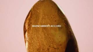 A fruity and gourmand scent