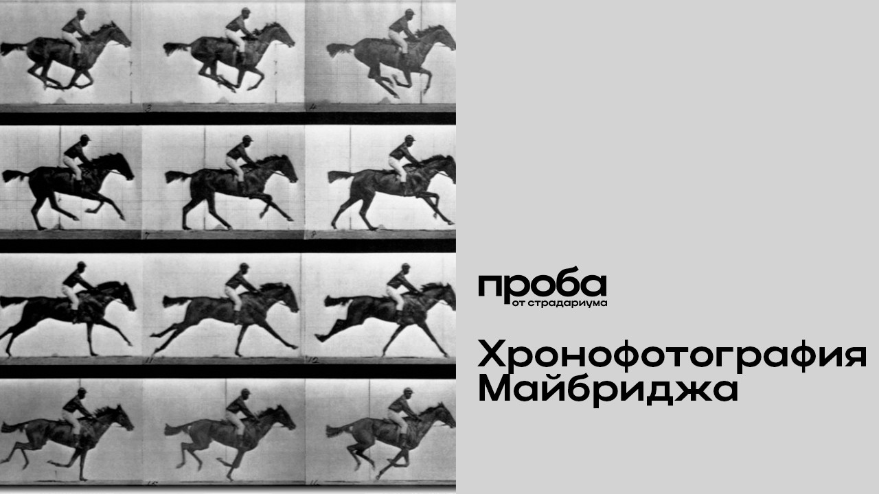 Елена Якимович — Как лошадь Майбриджа убежала в будущее: о хронофотографии ?