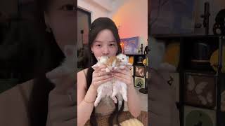 Listen, there is purring at the end, the kitten is sleeping,