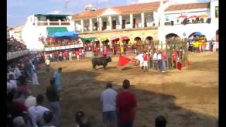 preview picture of video 'Navas del Madroño (Cáceres) Video 7/10 - Toros Agosto 2009'