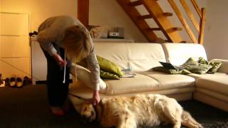 He doesn't want to wake up