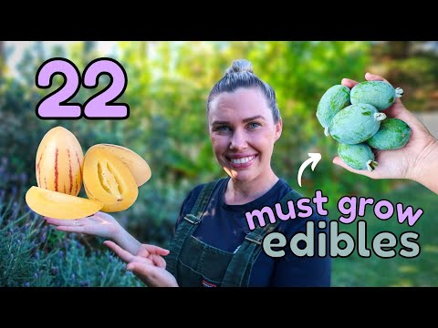 22 Edible Perennial Plants for Abundant Edible Gardens 🍏