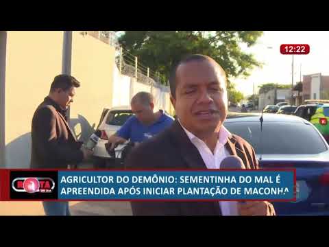 ROTA DO DIA 25 06  Agricultor apreendido apoÌs iniciar plantacão de maconha