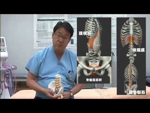 臨床現場における物理療法 第3部 非特異的腰痛