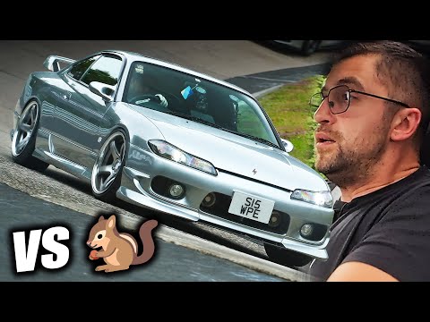 How Did He Survive?! Nissan S15 vs. Nürburgring Squirrel