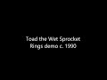 Toad the Wet Sprocket - Rings demo circa 1990