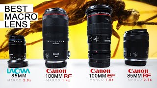 LAOWA 85MM vs Canon RF 100MM vs Canon EF 100MM vs Canon 85mm - Best Budget Macro LENS EVER?