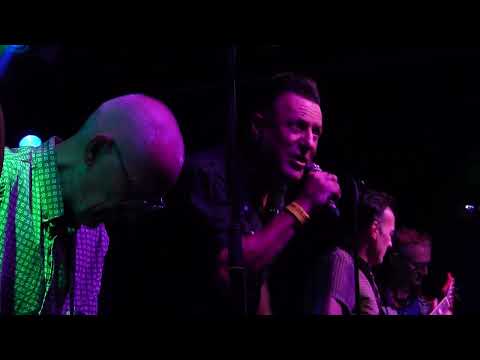 The Sting-rays - Dinosaurs & Escalator - The Fleece, Bristol - 7th August 2025