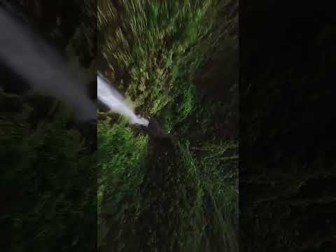 #nature #feeling #energy #sound